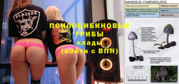 синтетический гашиш Алексин