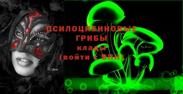 синтетический гашиш Алексин