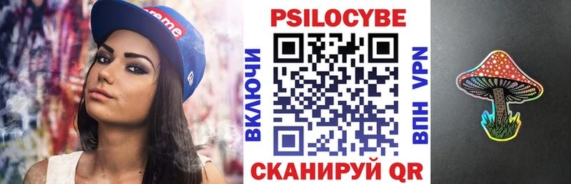omg вход Советская Гавань Псилоцибиновые грибы мицелий