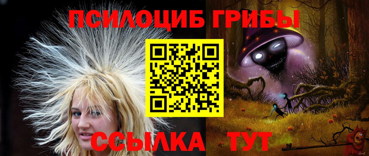 Галлюциногенные грибы Psilocybe Советская Гавань