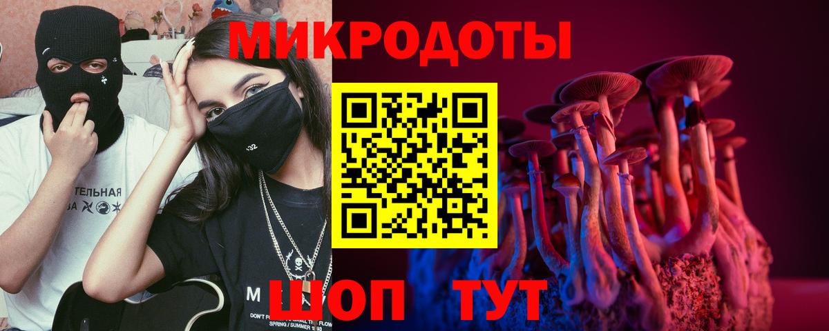 Псилоцибиновые грибы Psilocybe  Вход с VPN  цены наркотик  Советская Гавань 