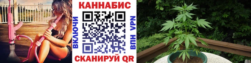 Шишки марихуана конопля  где можно купить   гидра зеркало  Советская Гавань 